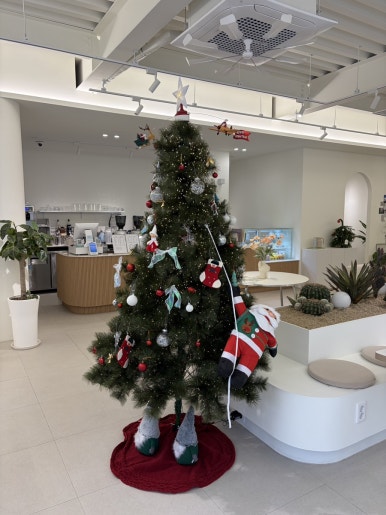 오아시스 이미지