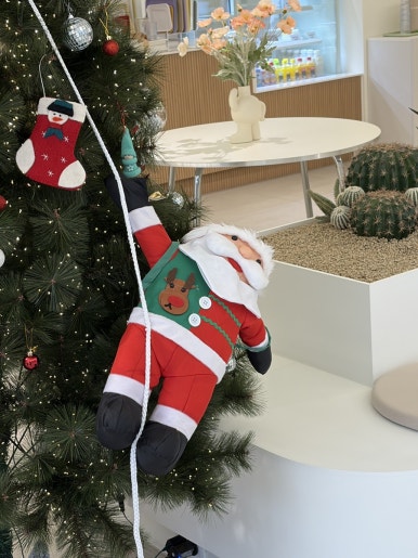 오아시스 이미지