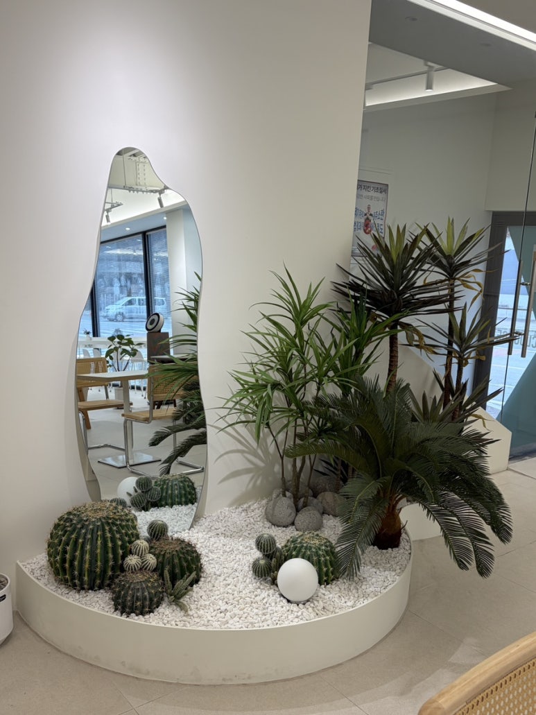 오아시스 이미지