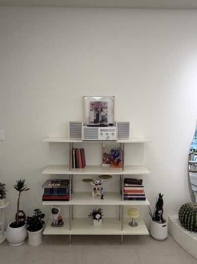 오아시스 이미지