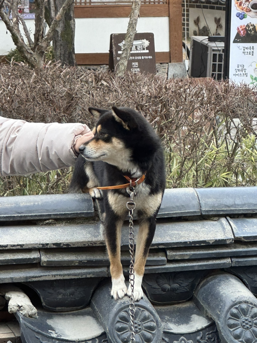 교동석쇠불고기 사진 2