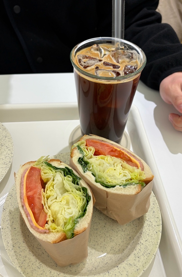 오아시스 이미지