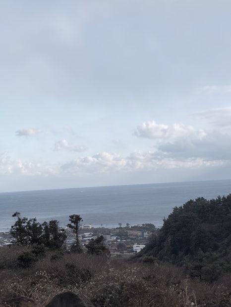 섬집 사진 8