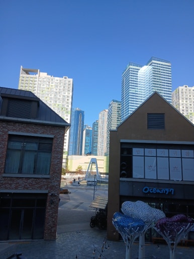 예술미미 사진 8