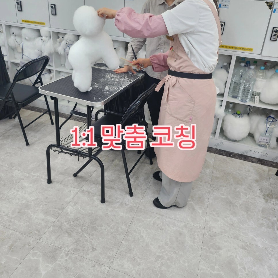 부천 애견미용학원: 가정견 실습으로 현장 감각 UP! — 사진 5