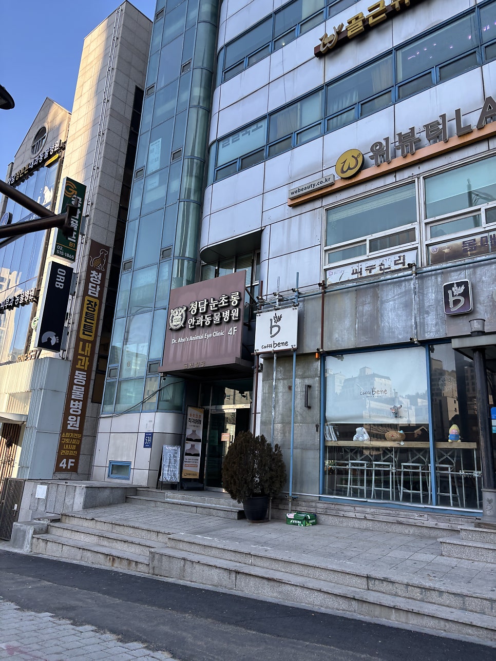 강아지 백내장 초기 진단 및 안과병원 비용 안내 — 사진 3