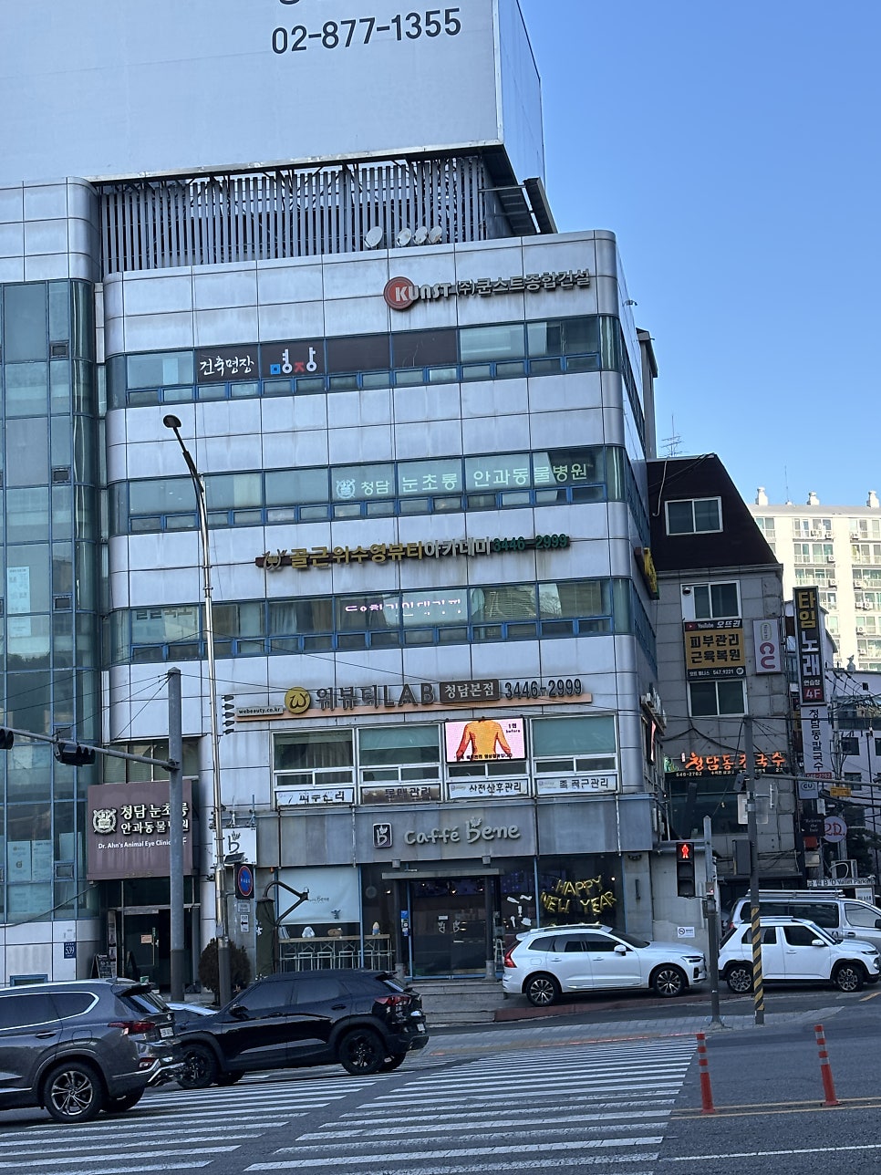 강아지 백내장 초기 진단 및 안과병원 비용 안내 — 사진 2