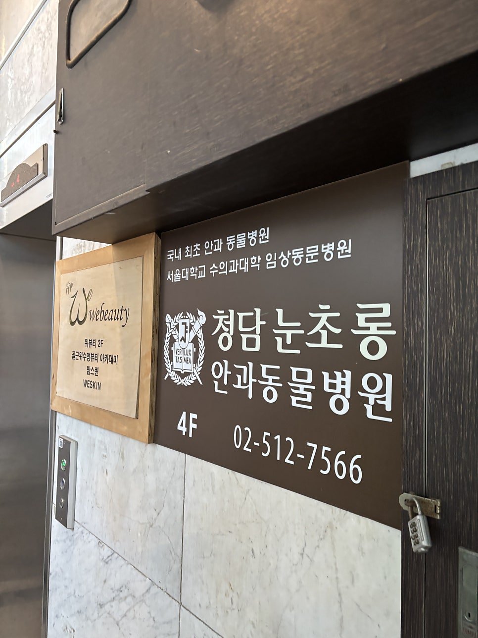 강아지 백내장 초기 진단 및 안과병원 비용 안내 — 사진 4