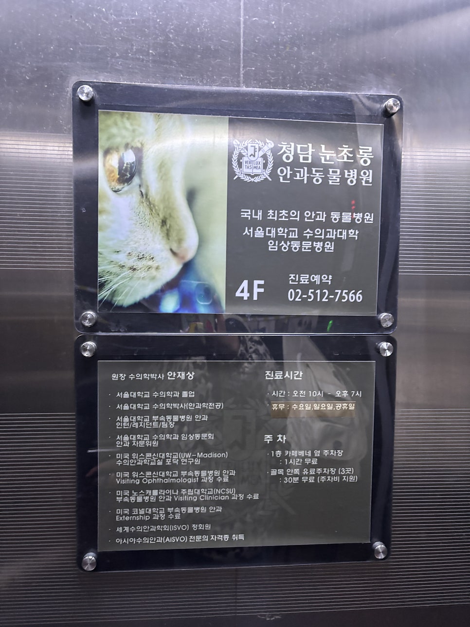 강아지 백내장 초기 진단 및 안과병원 비용 안내 — 사진 5