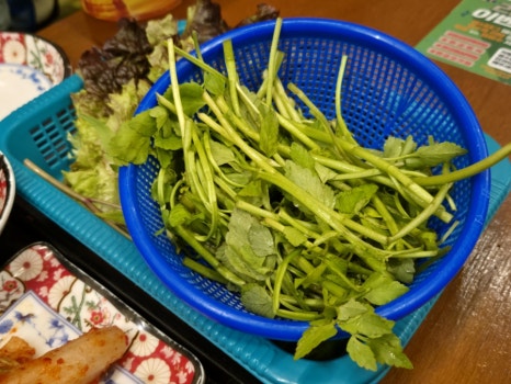 미도냉삼 판교점 사진 8