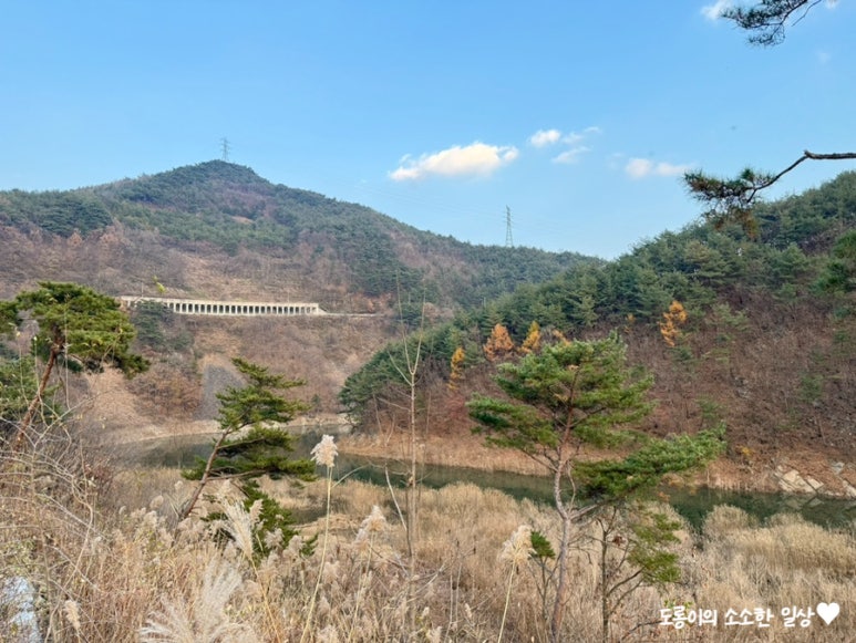 단양펜션 슈빌라움 이미지