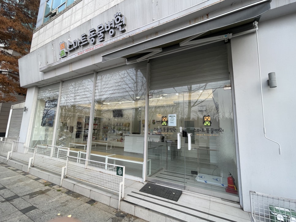 일산 스마트동물병원, 강아지 슬개골 탈구 의심 진료 후기 — 사진 7