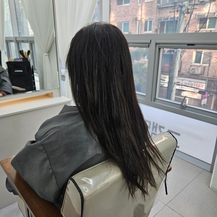인천 강아지 유치원 비용 및 프로그램 안내 — 사진 2