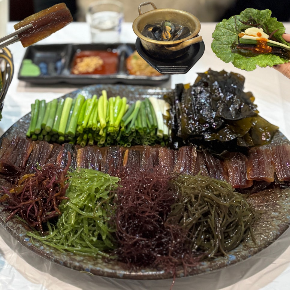 해초과메기 사진 4