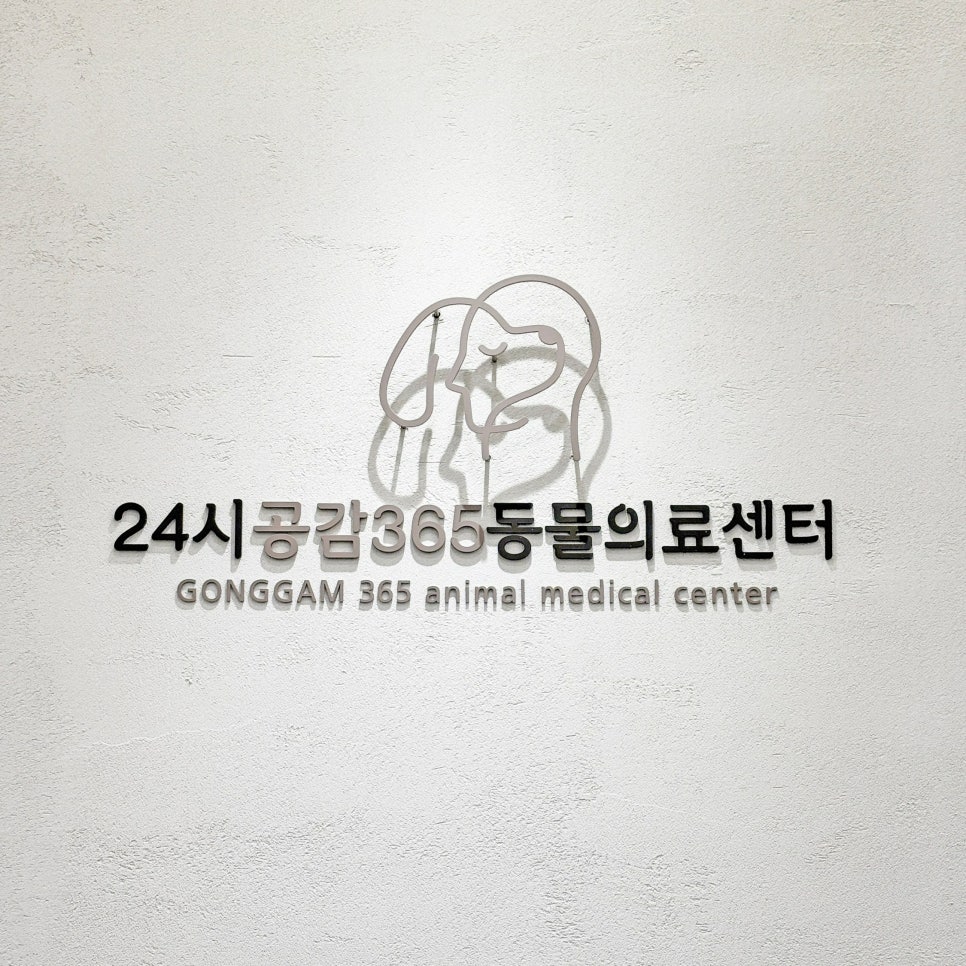 진접 24시 공감 365동물의료센터 강아지 건강검진 후기 — 사진 2