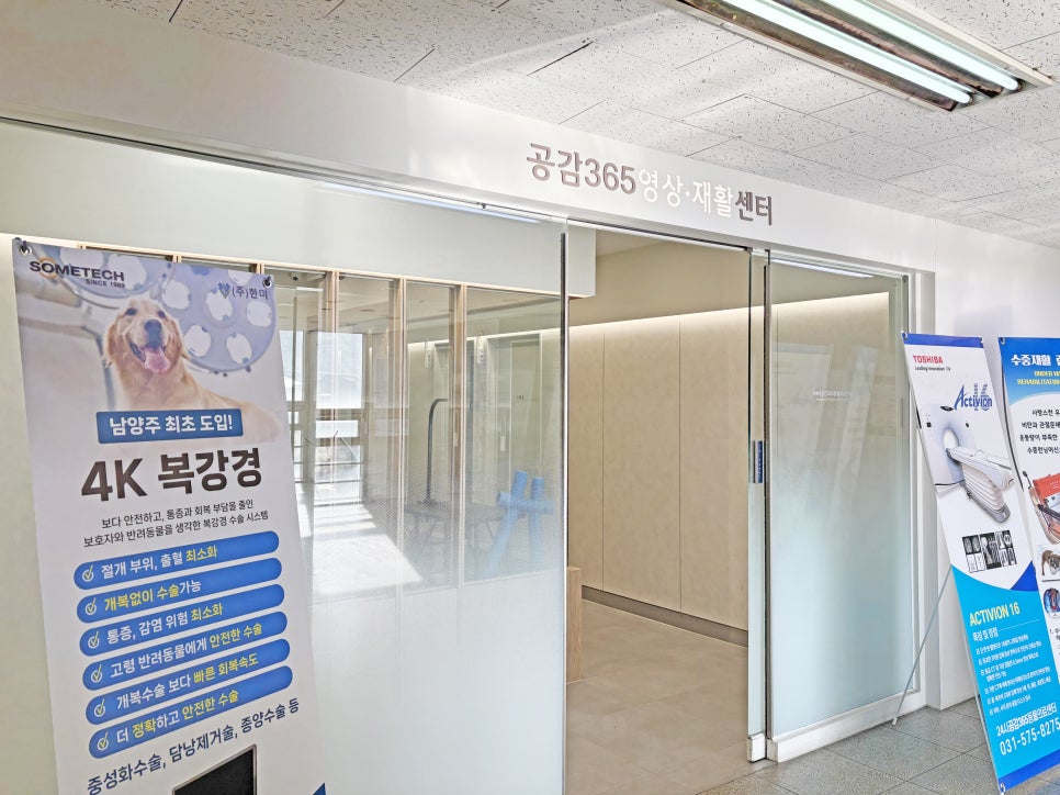 진접 24시 공감 365동물의료센터 강아지 건강검진 후기 — 사진 8