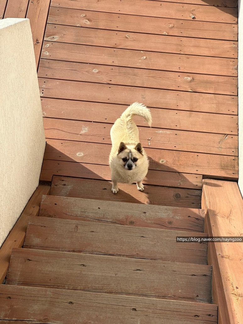 산내음물소리펜션 이미지