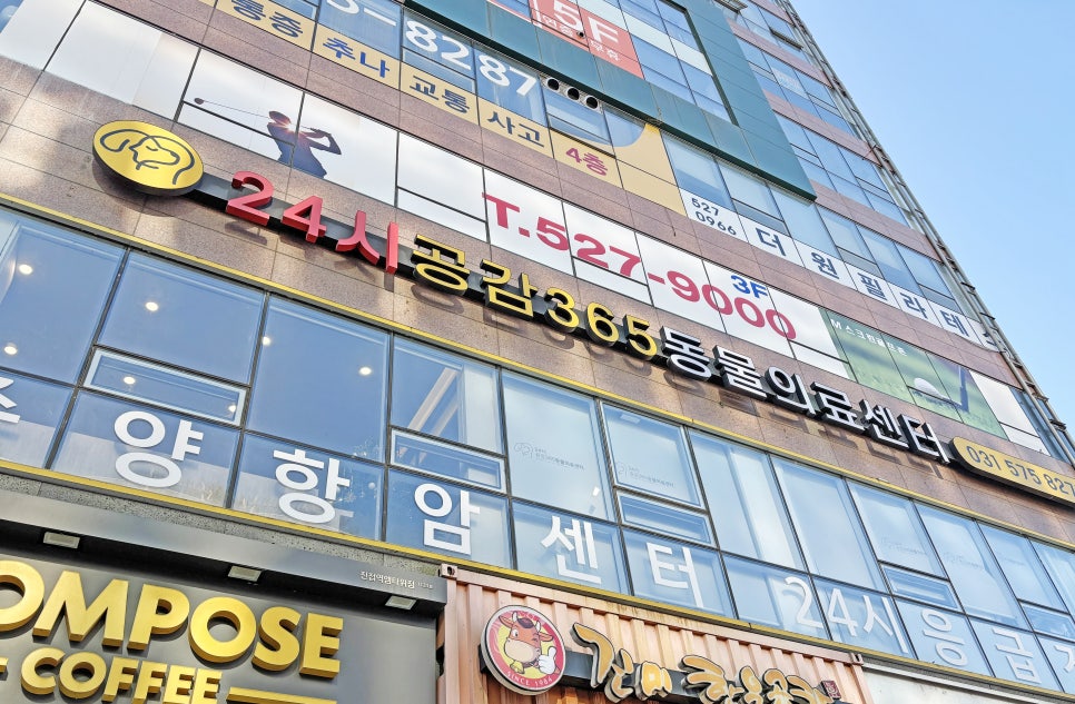 진접 24시 공감 365동물의료센터 강아지 건강검진 후기 — 사진 6