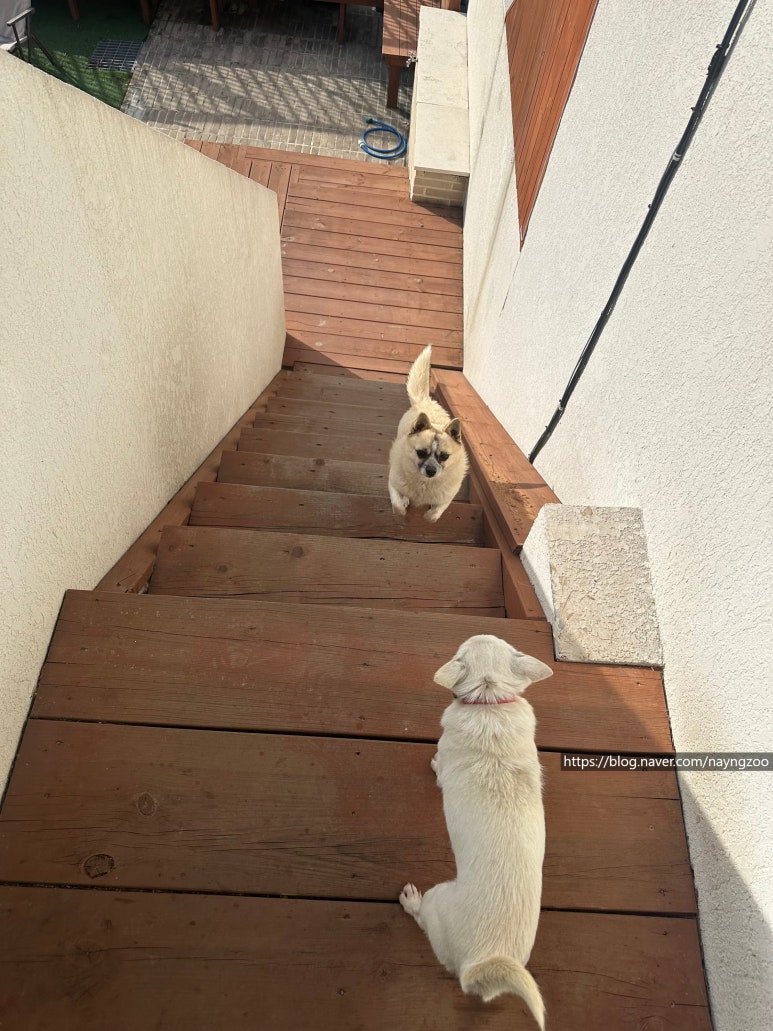 산내음물소리펜션 이미지