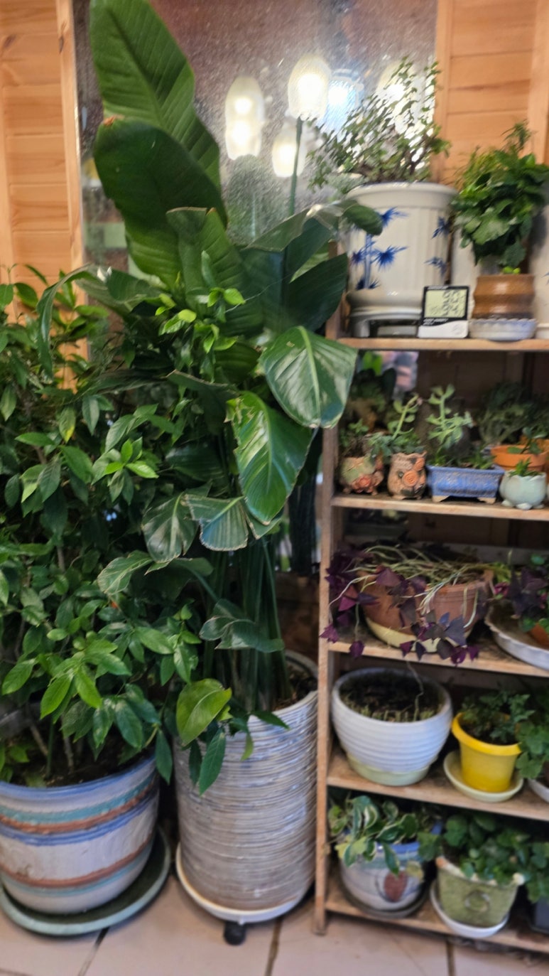 청수가든 이미지