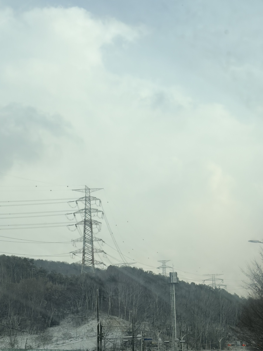 영양센타 사진 6