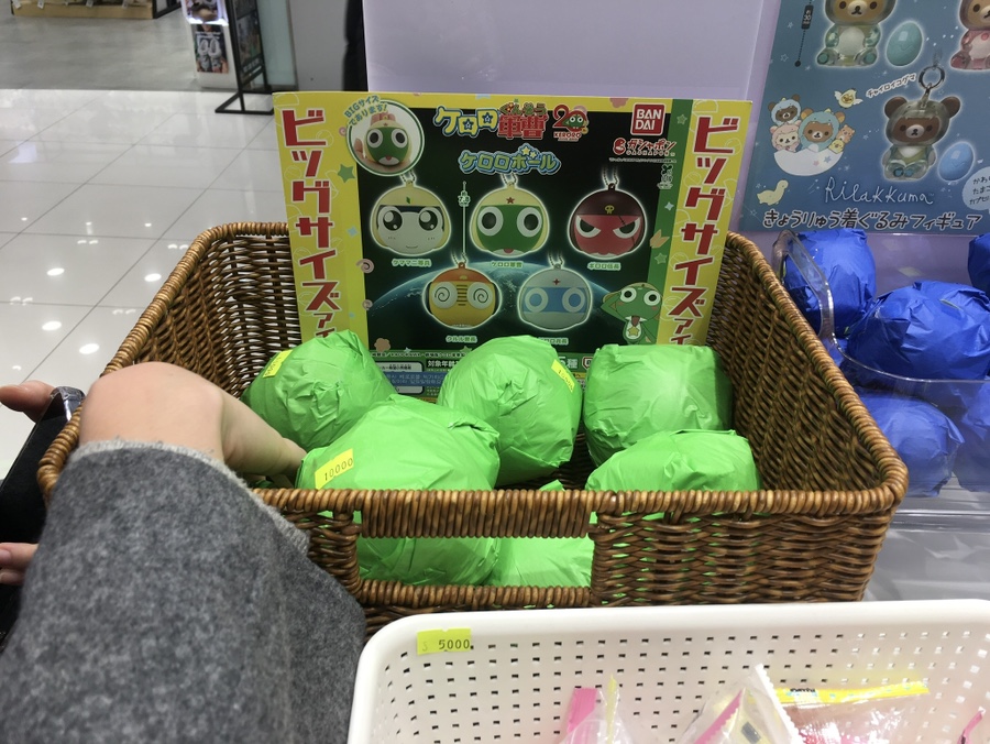 천매자 사진 5