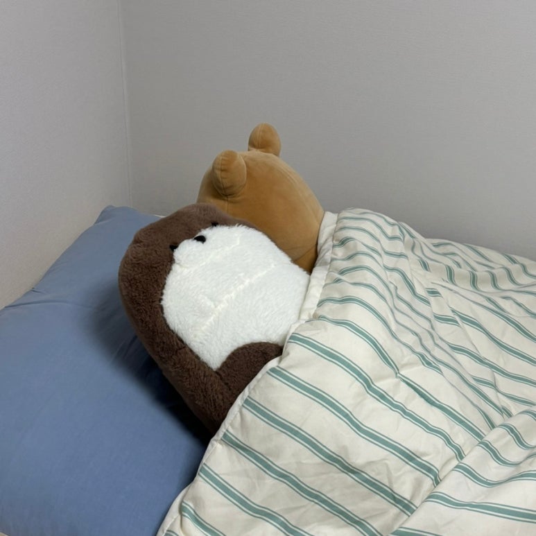 영양센타 사진 5