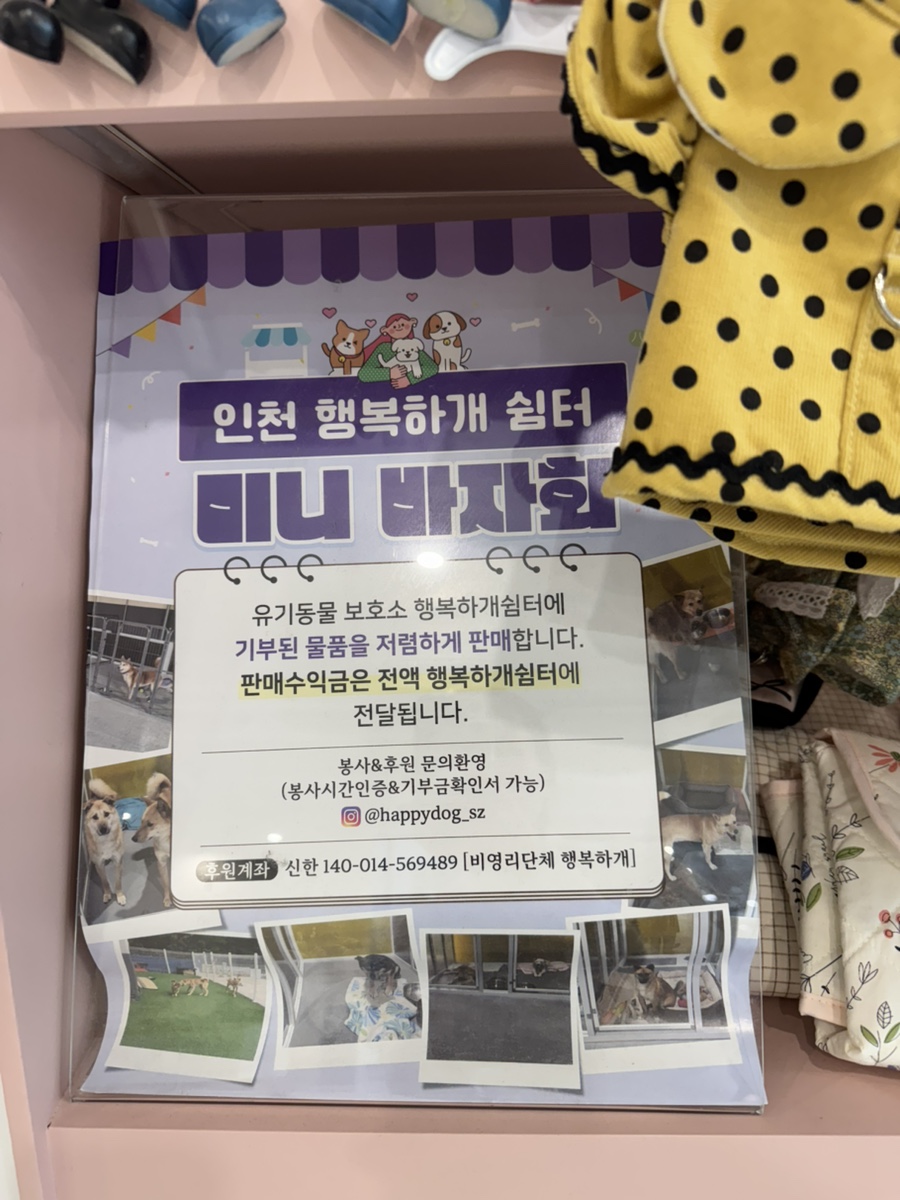 김포 풍무동 애견카페 퍼플러피, 강아지 놀이터 후기 — 사진 18