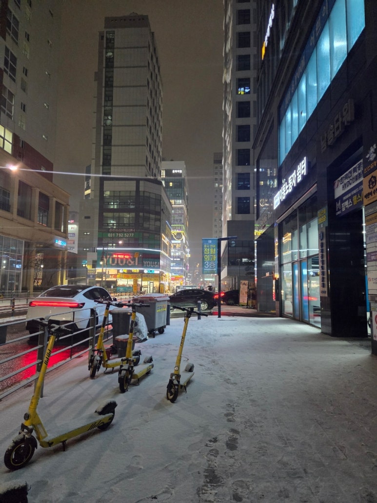 소담 사진 8