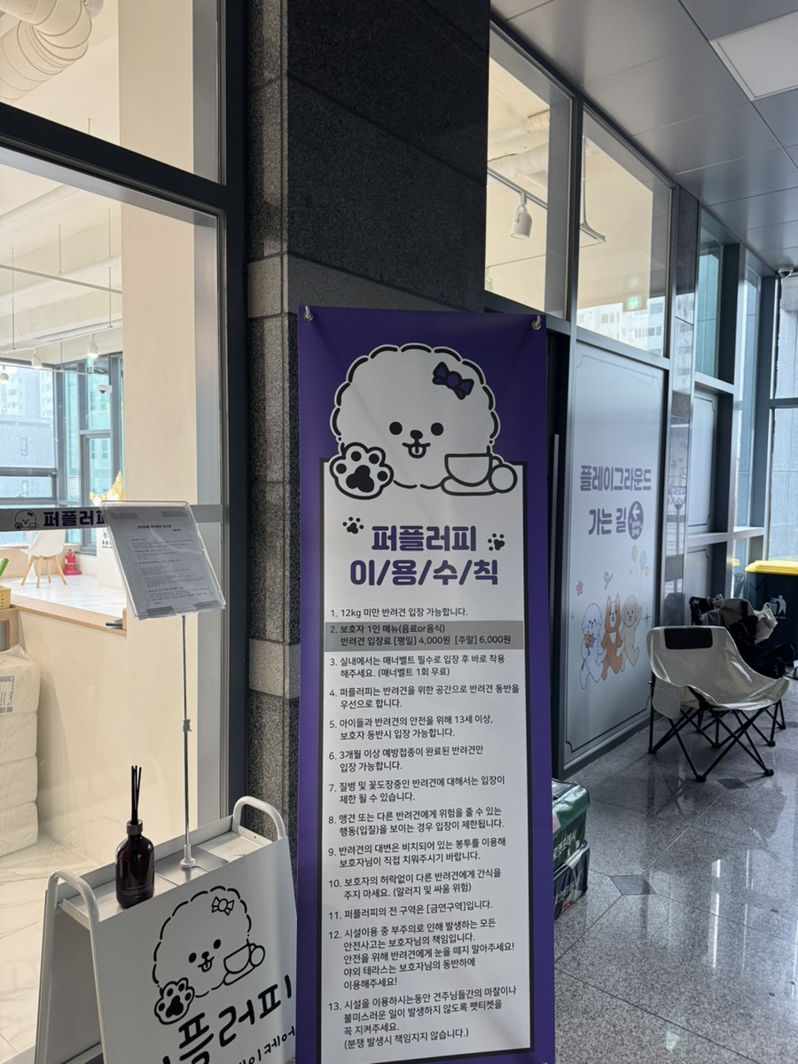 김포 풍무동 애견카페 퍼플러피, 강아지 놀이터 후기 — 사진 4