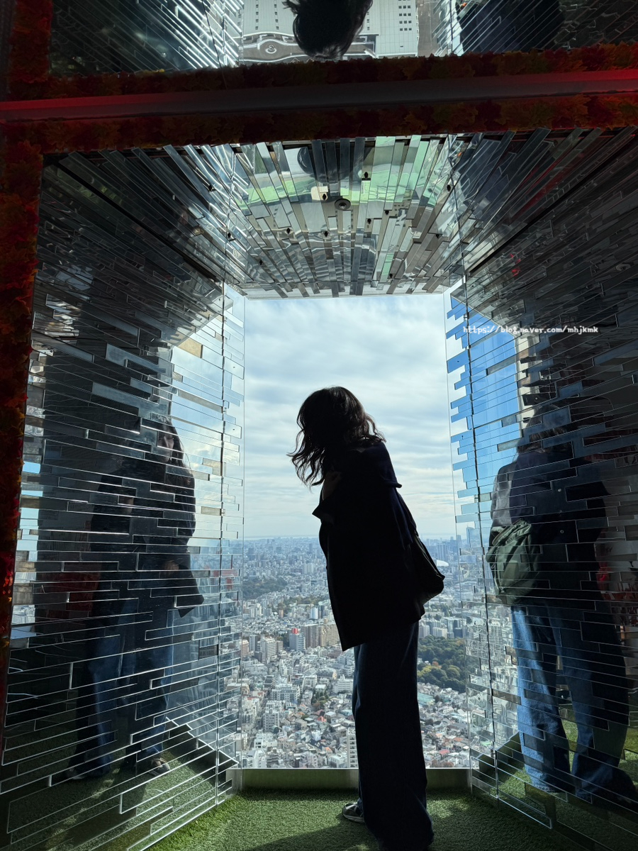 도쿄 3박 4일 자유여행: 알짜배기 코스 일정 완벽 가이드 — 사진 10