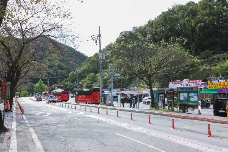 영남식당 이미지