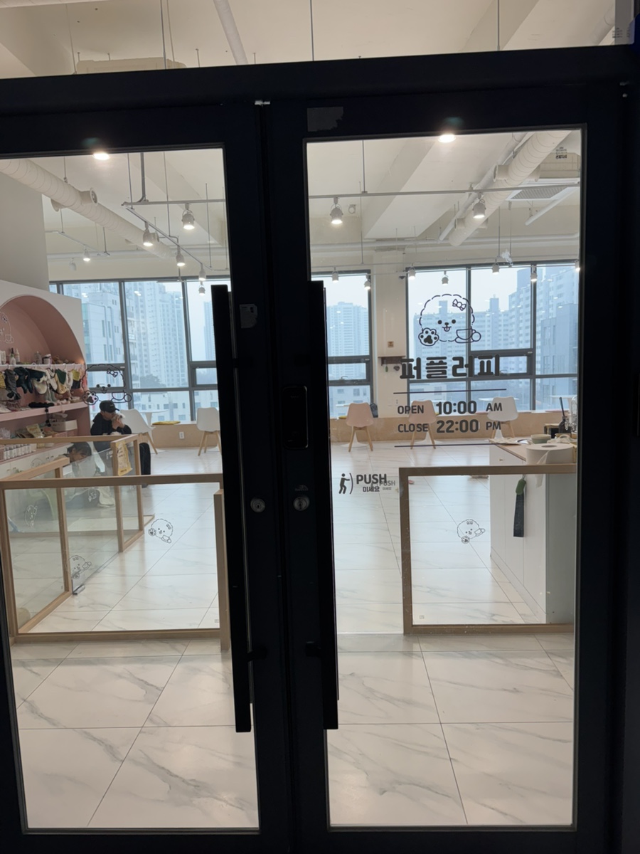 김포 풍무동 애견카페 퍼플러피, 강아지 놀이터 후기 — 사진 3