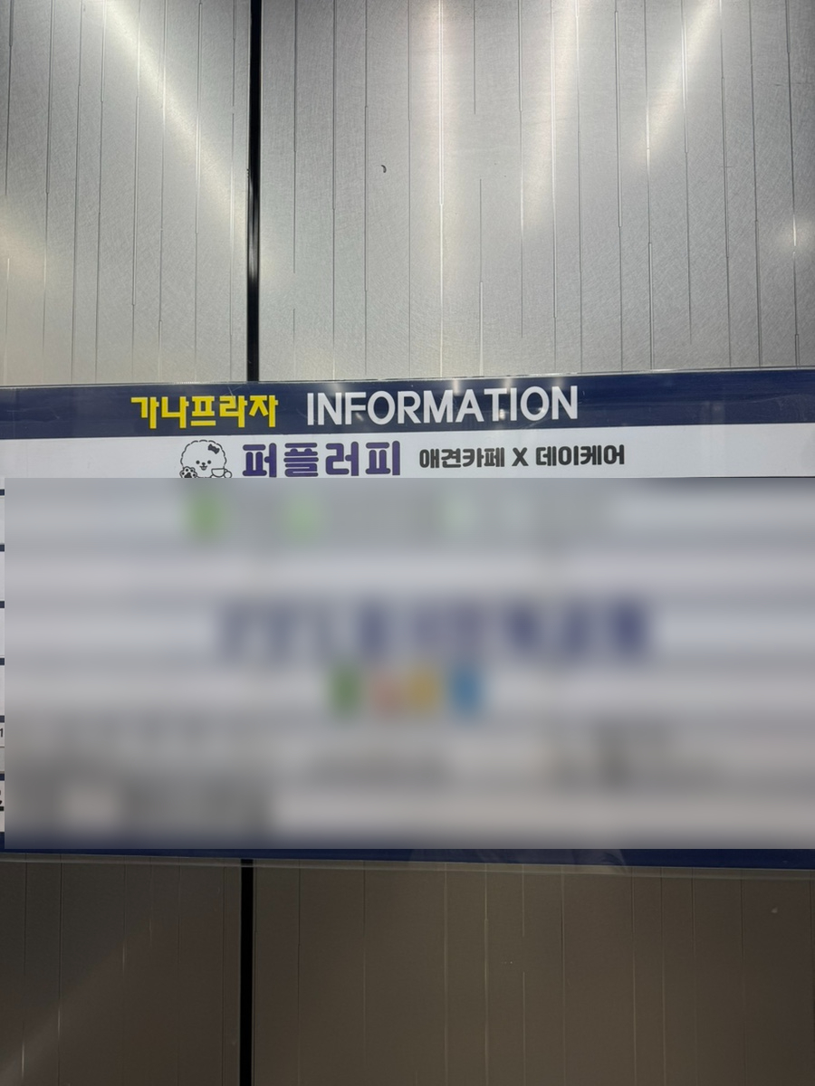 김포 풍무동 애견카페 퍼플러피, 강아지 놀이터 후기 — 사진 2