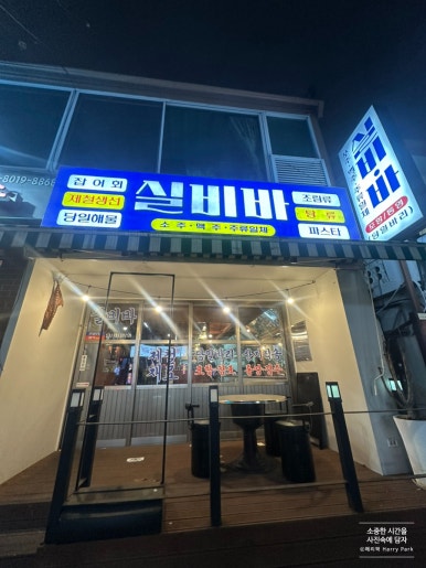 실비바 사진 8