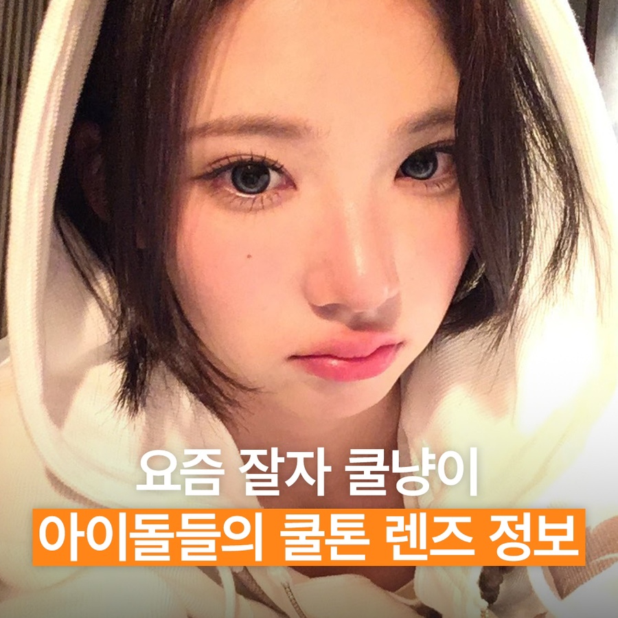 요즘 잘자 쿨냥이 아이돌들의 쿨톤 렌즈 정보 : 네이버 블로그