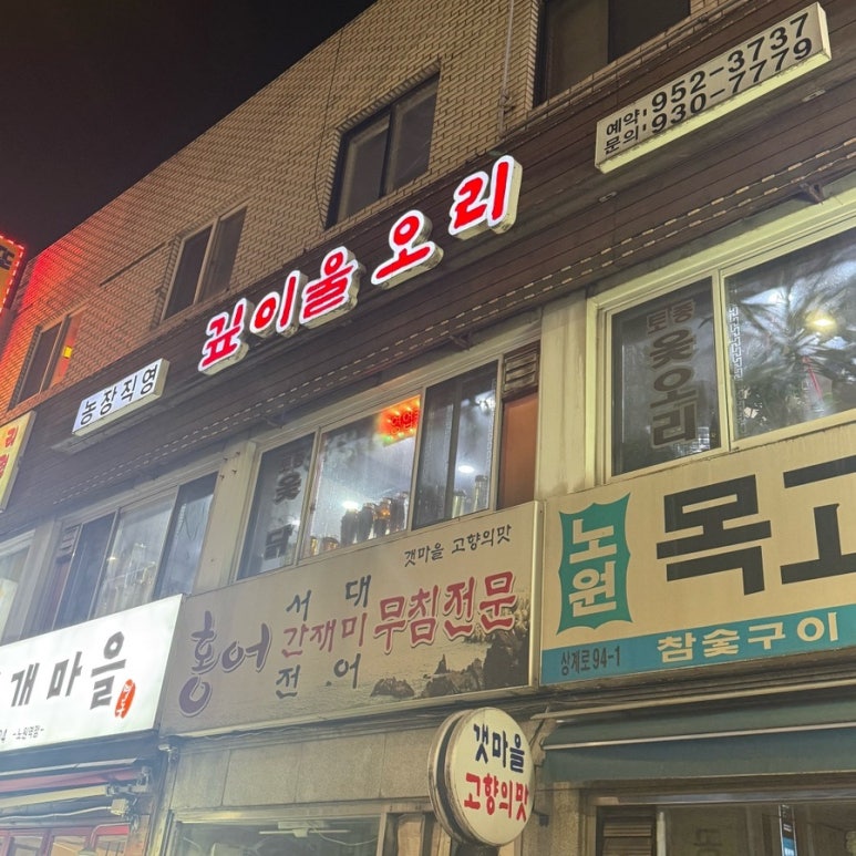 깊이울오리 사진 6