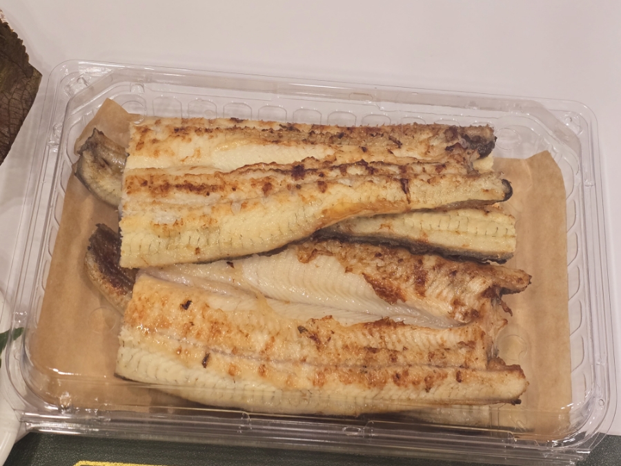 이안장어 사진 4