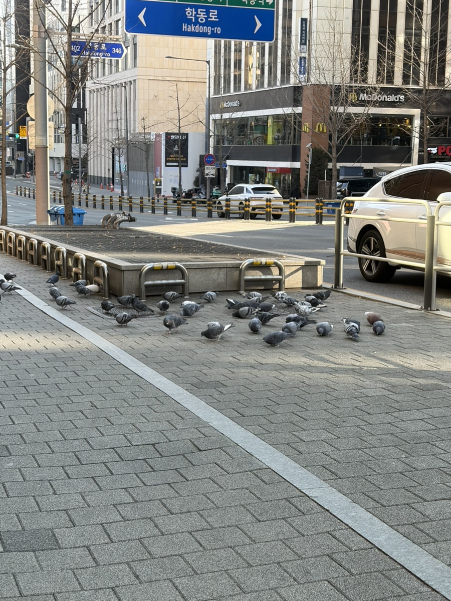 오뎅야 본점 사진 6
