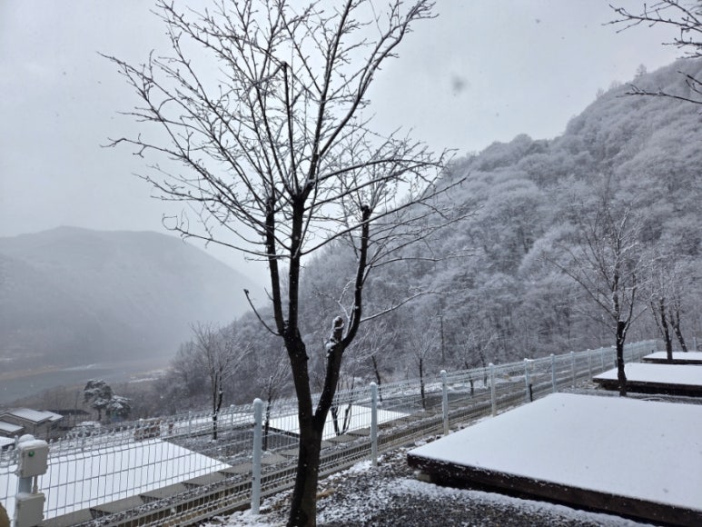 강별캠핑장 이미지