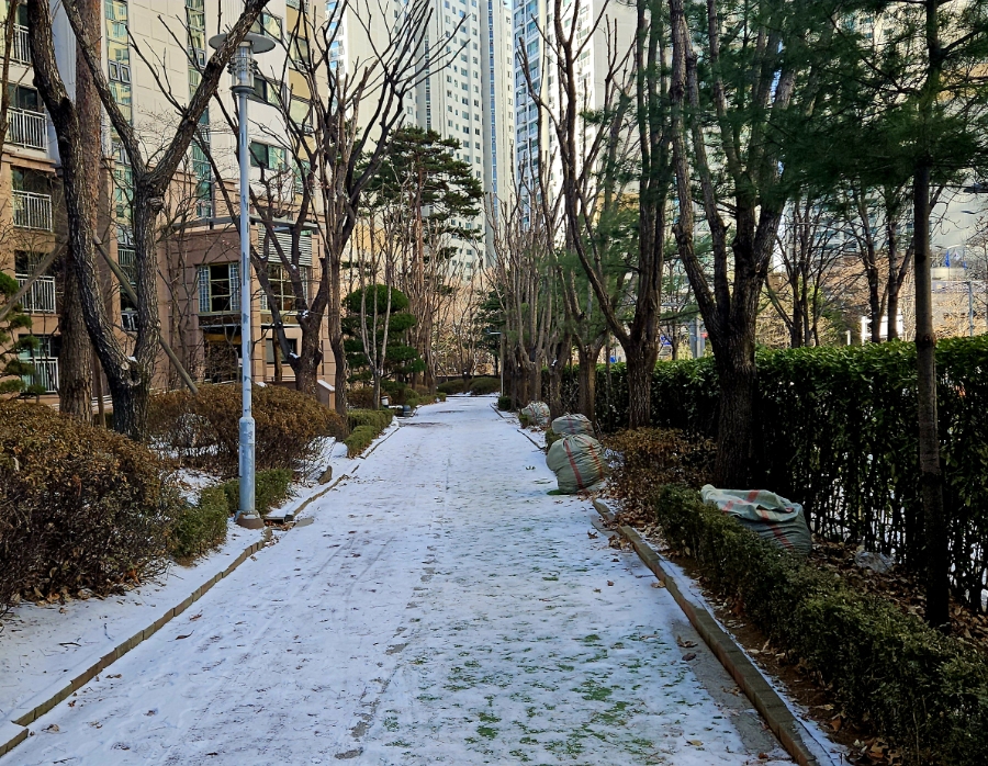 파리바게뜨 레이크팰리스점 사진 2