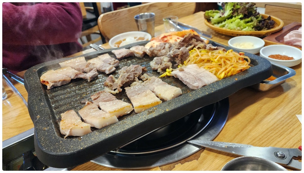 강남꿀돼지 사진 3