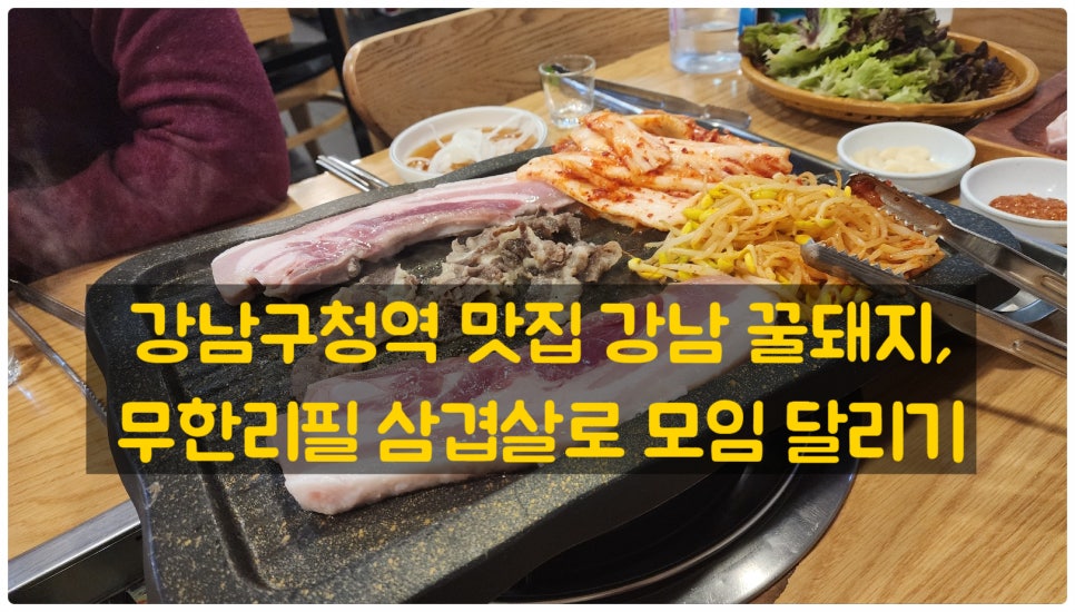 강남꿀돼지 사진 2