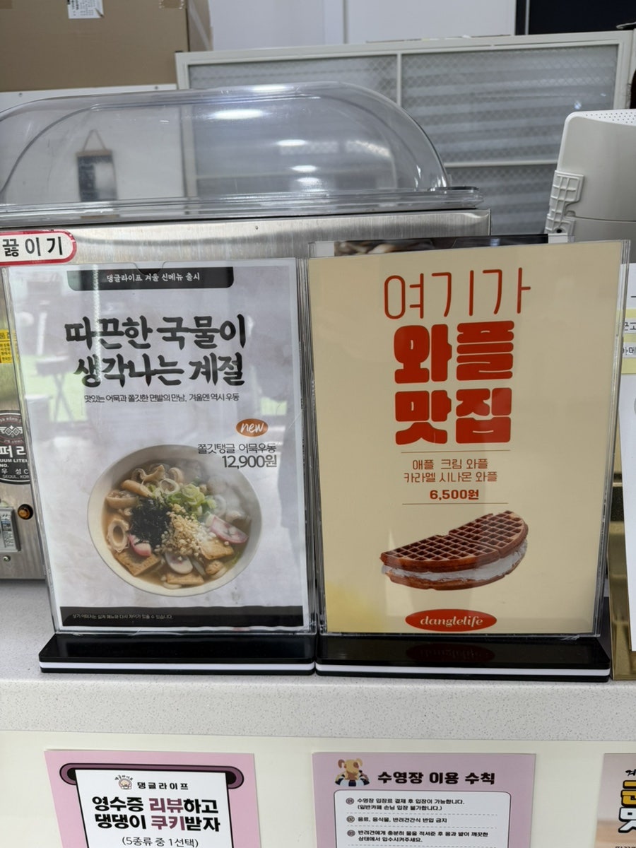 용인 댕글라이프 애견카페, 강아지 놀이터 이용 후기 — 사진 12