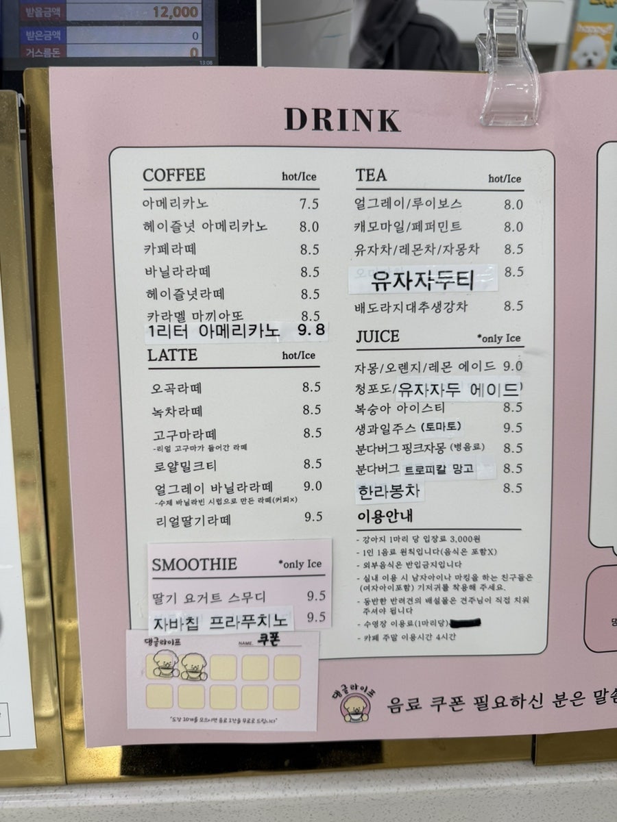 용인 댕글라이프 애견카페, 강아지 놀이터 이용 후기 — 사진 16
