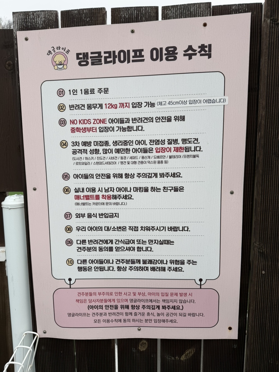 용인 댕글라이프 애견카페, 강아지 놀이터 이용 후기 — 사진 4