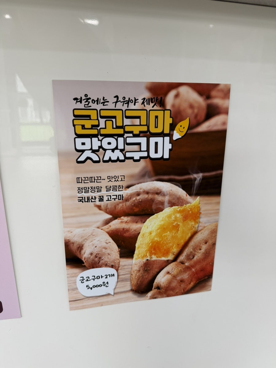용인 댕글라이프 애견카페, 강아지 놀이터 이용 후기 — 사진 15