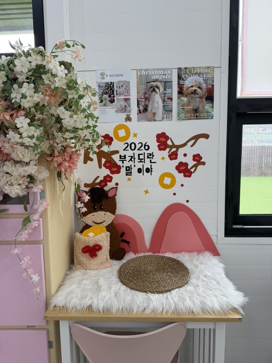 용인 댕글라이프 애견카페, 강아지 놀이터 이용 후기 — 사진 20