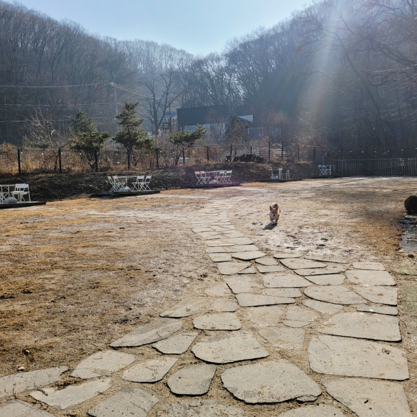 용인 별똥구리 애견카페: 넓은 운동장과 고기리 뷰 만끽 — 사진 13