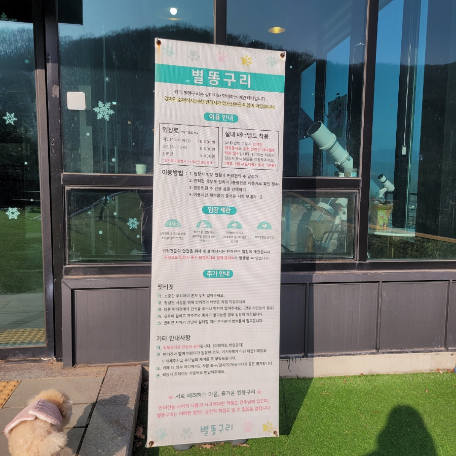 용인 별똥구리 애견카페: 넓은 운동장과 고기리 뷰 만끽 — 사진 11